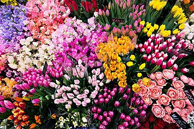 《神鬼寓言》系列剧情叙事负责人将于八月离职