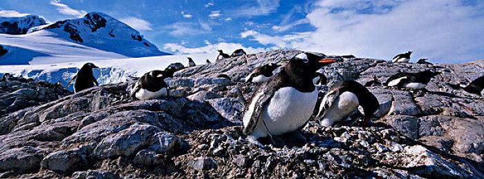 数毛社：《荒野大镖客2》加入光追要更加困难