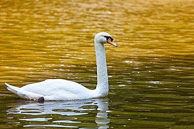 《黑神话：悟空》更新补丁上线 PC端1.9GB